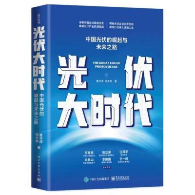 Chinese Solar PV Industry Rise - огляд і ціна Renewable Energy Is